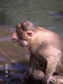 Indien 074